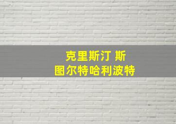 克里斯汀 斯图尔特哈利波特